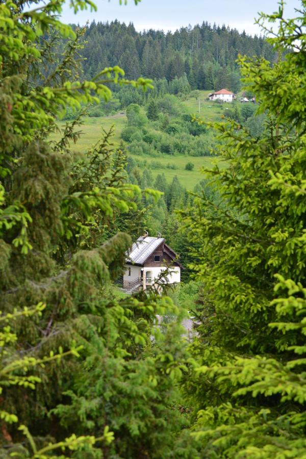 Villa Vila Mira Zlatar Nova Varoš Exterior foto